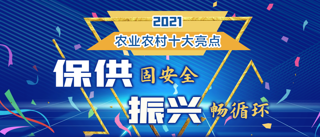 2021 农业农村十大亮点